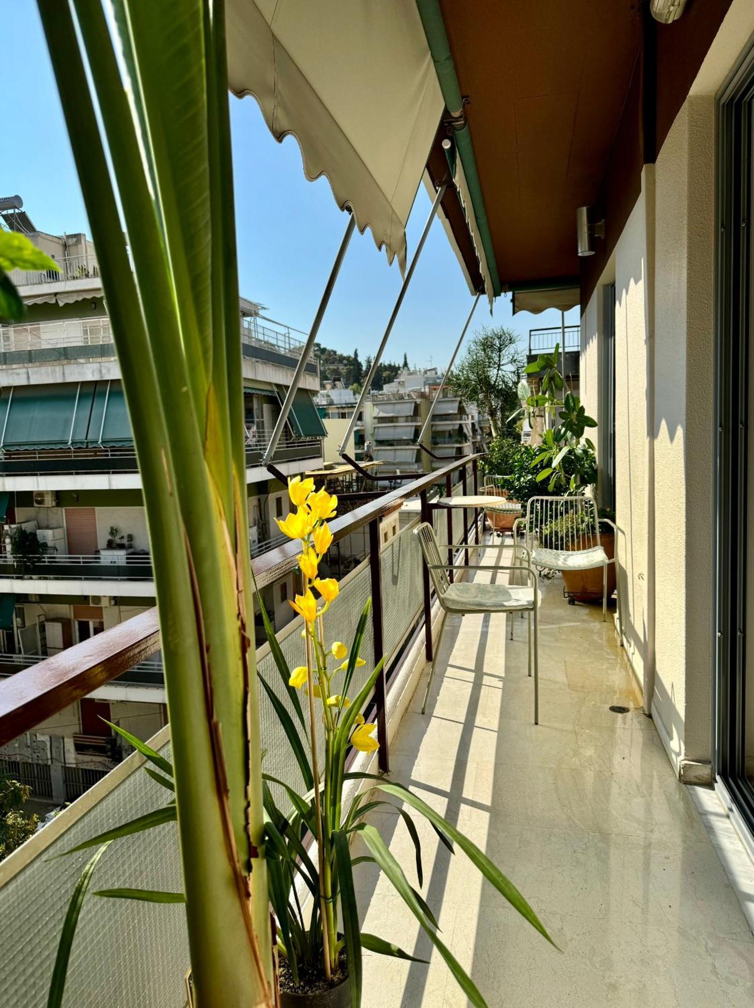Friends & Family Apartment